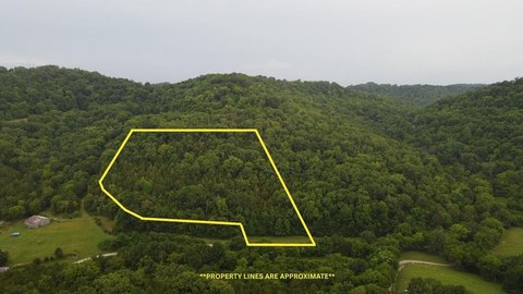 Unrestricted Wooded Acreage in Pleasant Shade