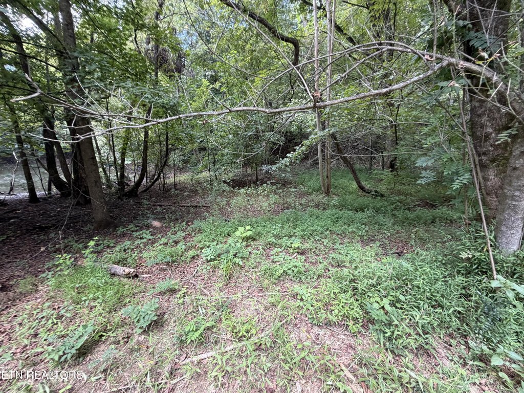 Picture 48