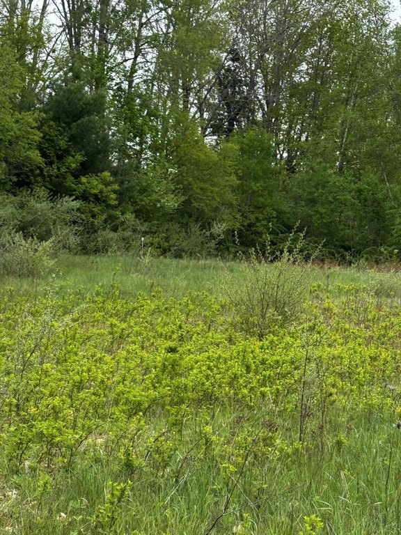 Picture 28