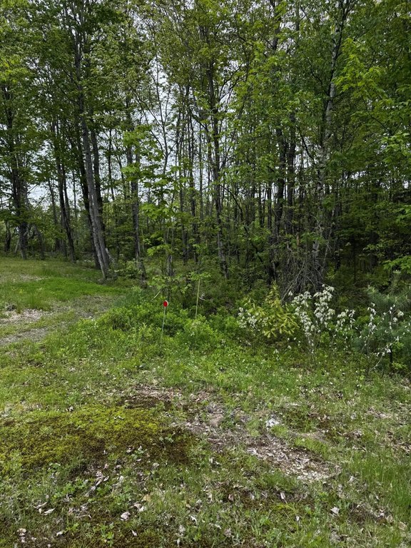 Picture 19