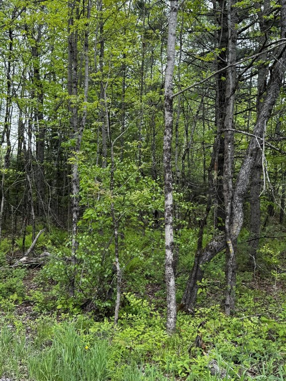 Picture 22