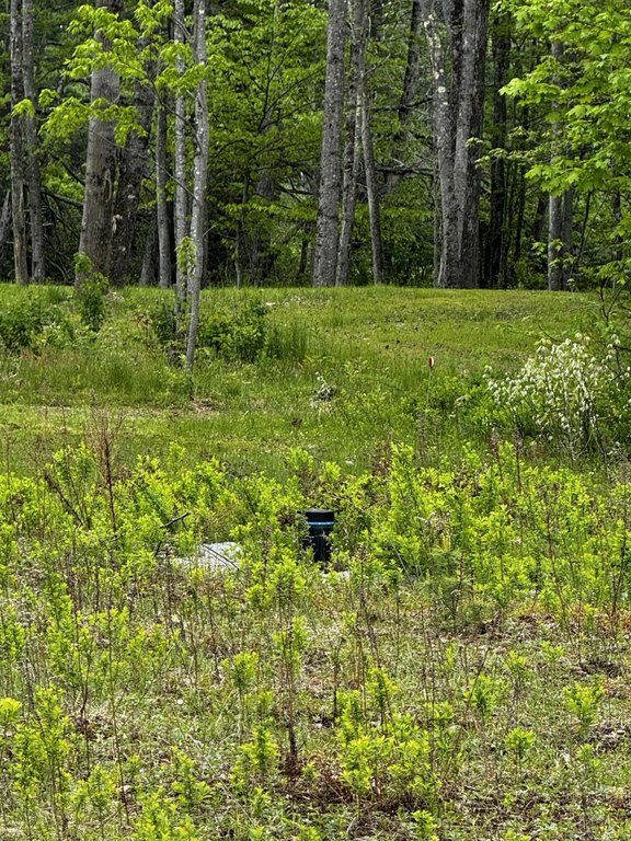 Picture 15