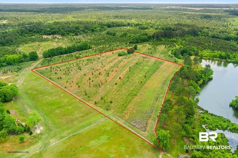 Cleared Commercial Land