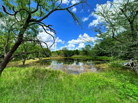 Unrestricted Ranch Land with Pond