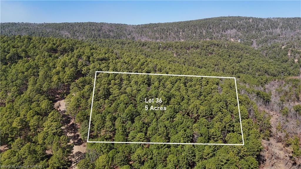 Wooded Land Near Sardis Lake