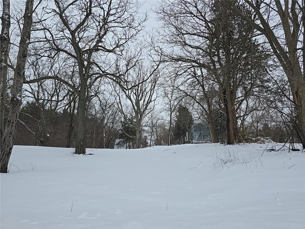 Picture 3