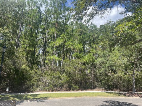 Land, St. Marys, GA