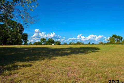 Sprawling Acreage in Mt Pleasant