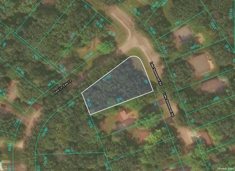 Buildable Wooded Lot in Davis, IL