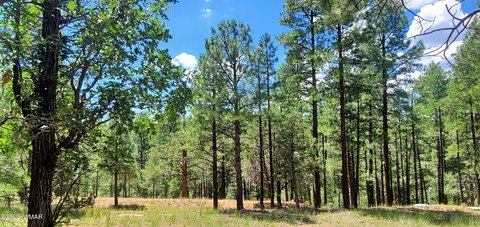 Happy Jack Acreage For Sale