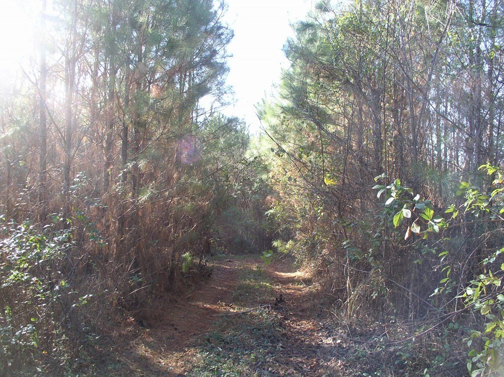 Picture 2