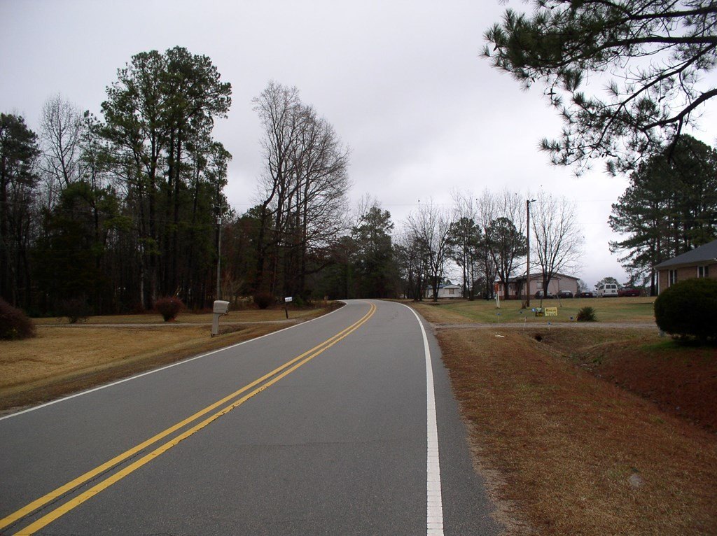 Picture 7