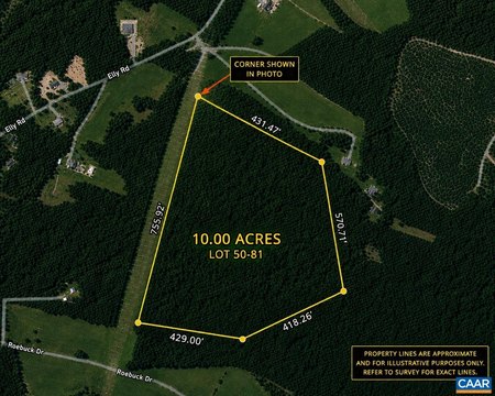 Wooded Recreational Land Parcel