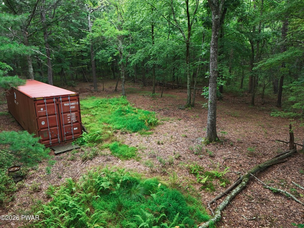 Picture 9