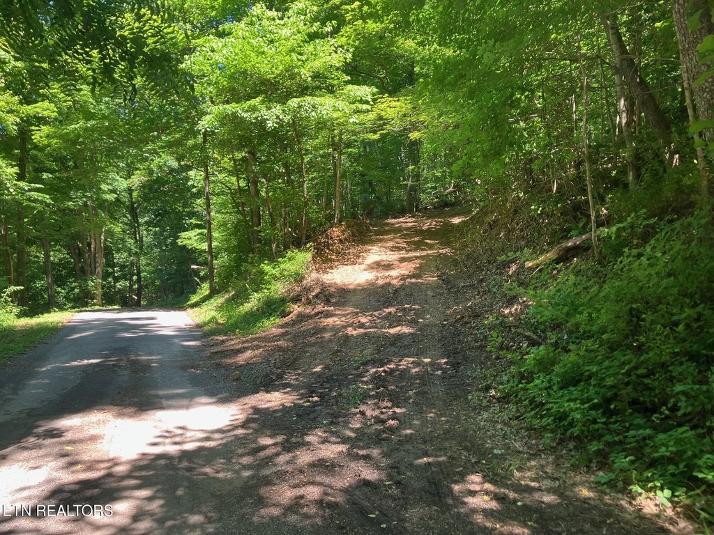 Picture 3