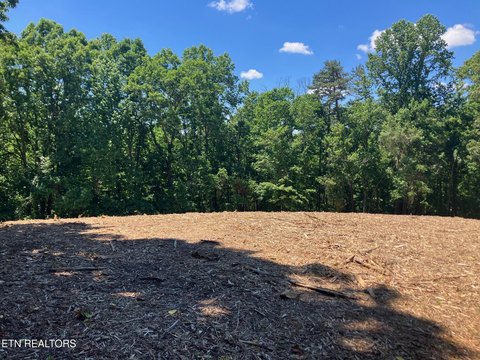 LAND - Maynardville, TN