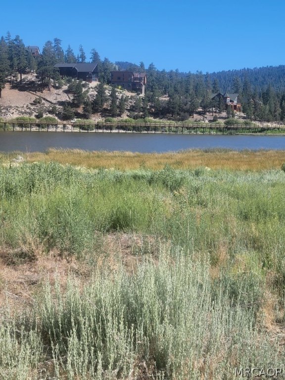 Picture 13