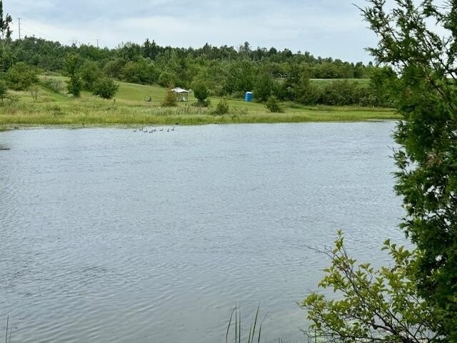 Picture 3