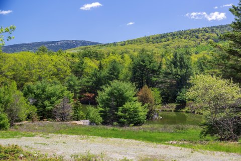 LAND - Mount Desert, ME