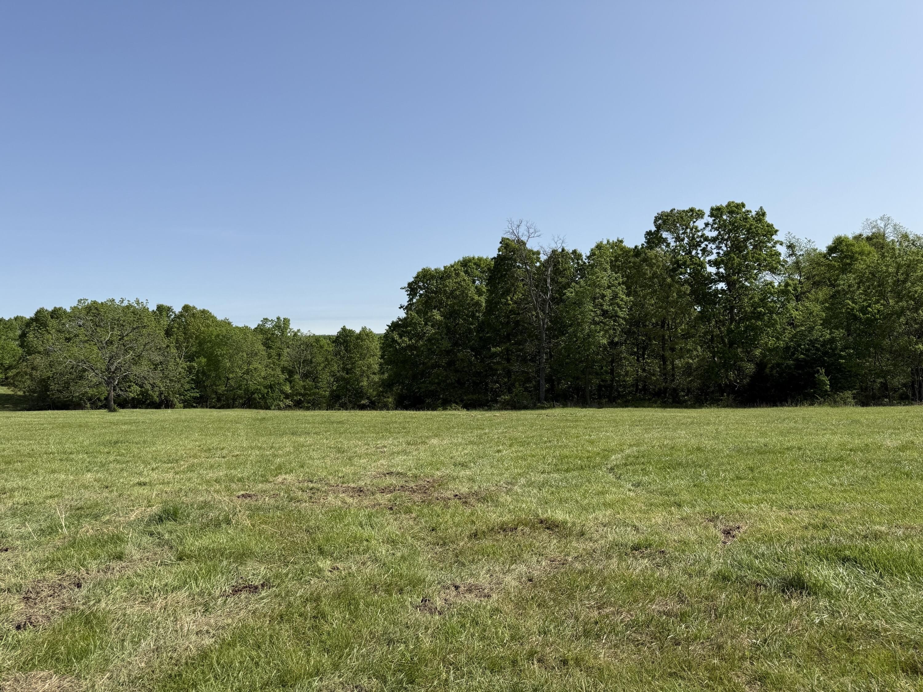 21.79 Acres in Cabool, MO