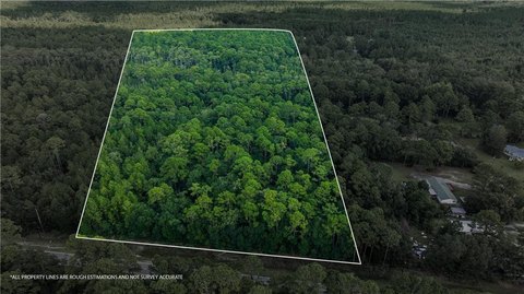 Townsend, GA Raw Acreage Land