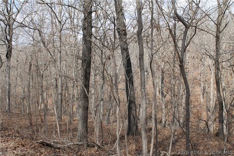LAND - Edwards, MO