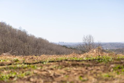 Private Mountain Timber Tract