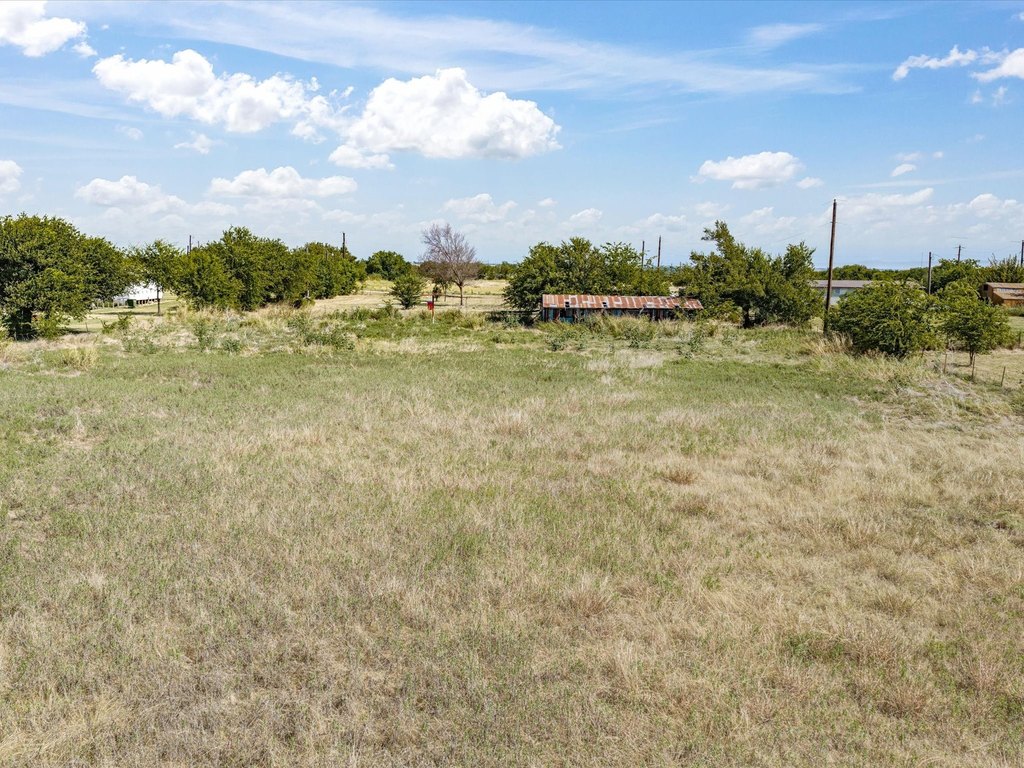 Picture 17