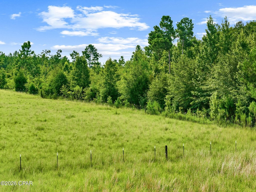 Picture 23