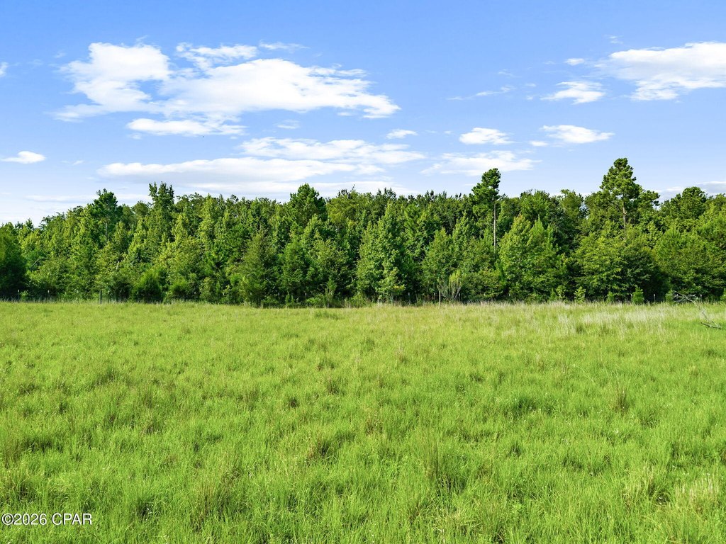 Picture 20