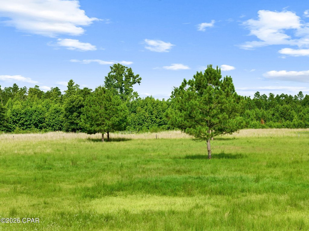 Picture 18