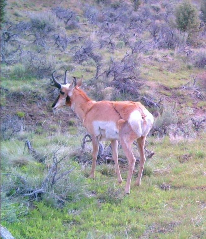 Picture 67