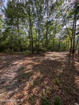 LAND - Eagle Springs, NC