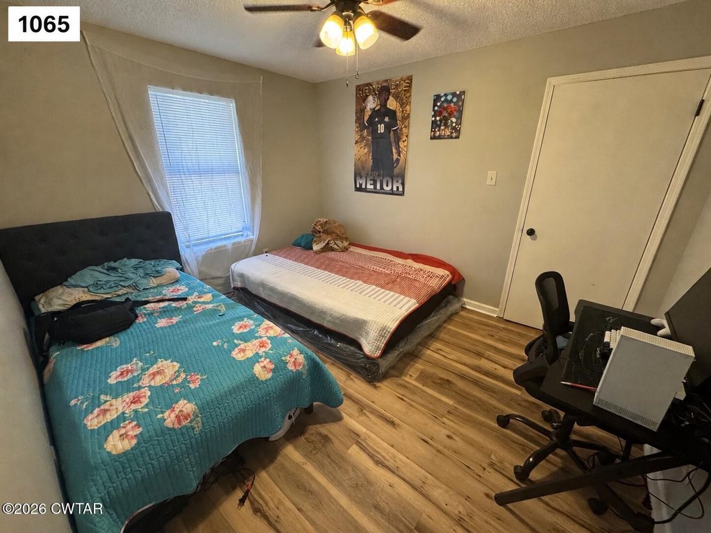 Picture 23