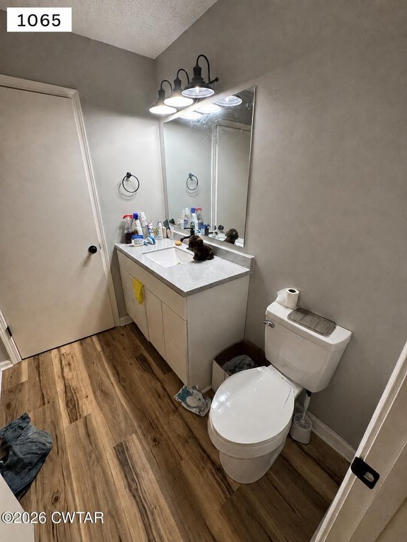 Picture 19