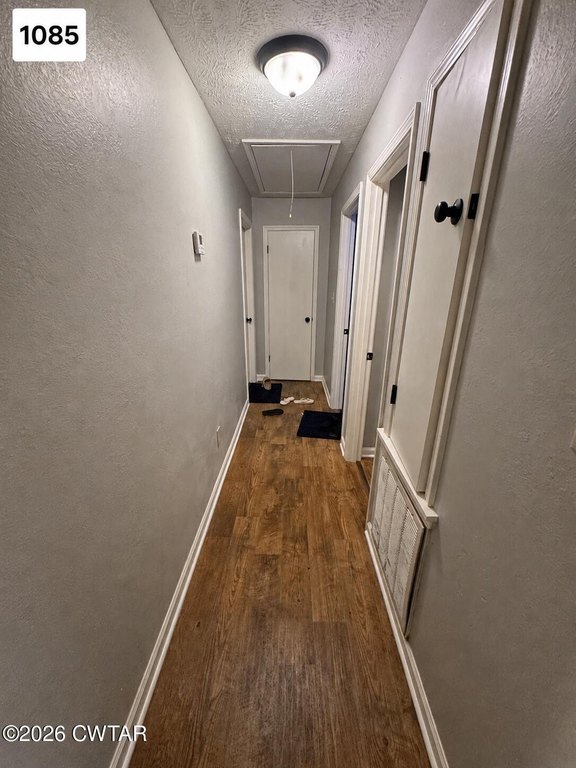 Picture 33