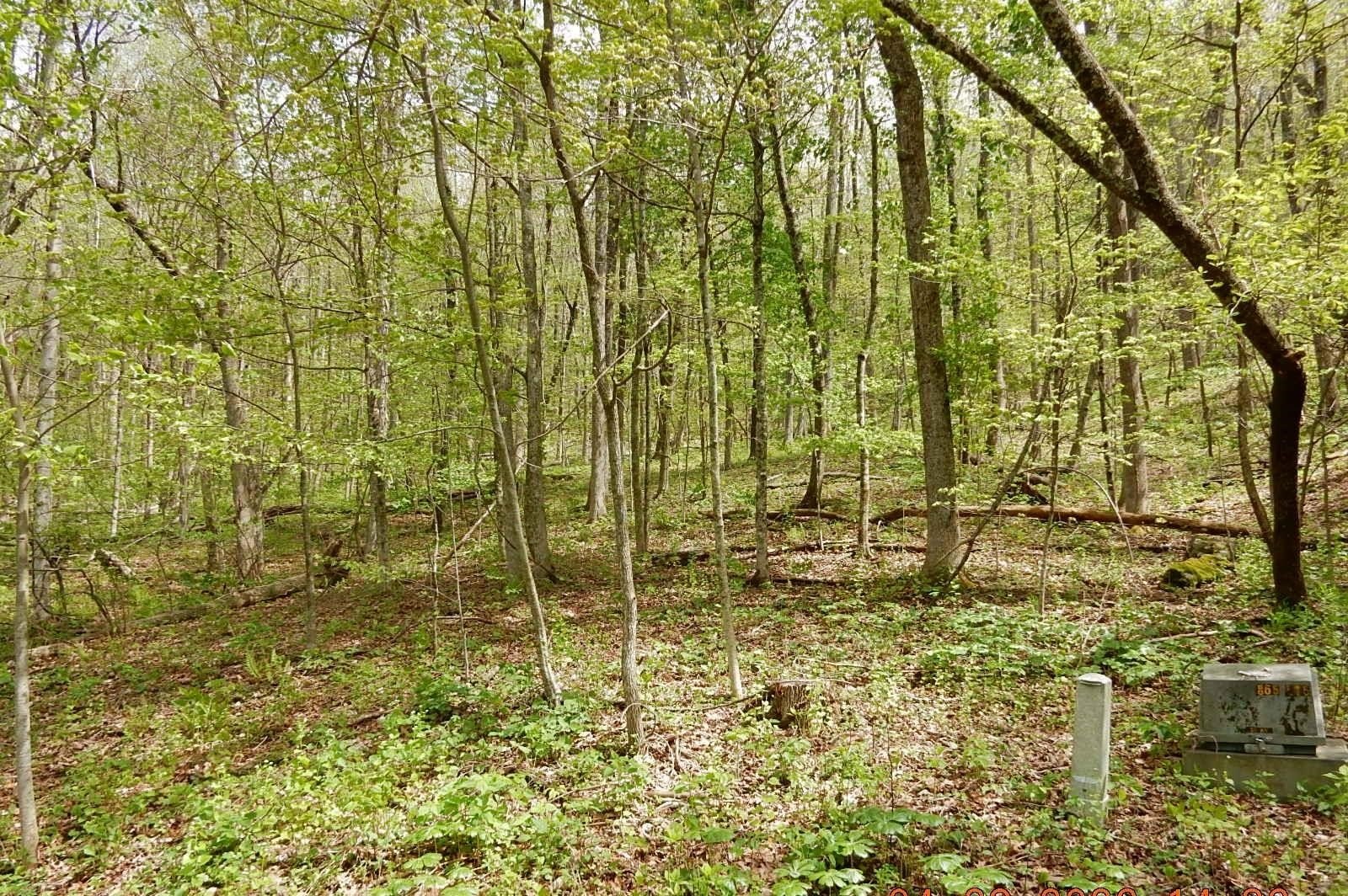 Homestead Preserve Building Lot
