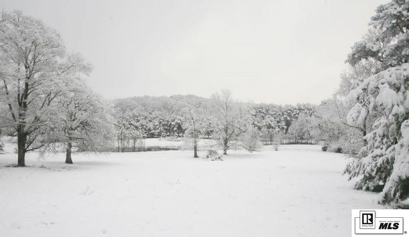 Picture 13