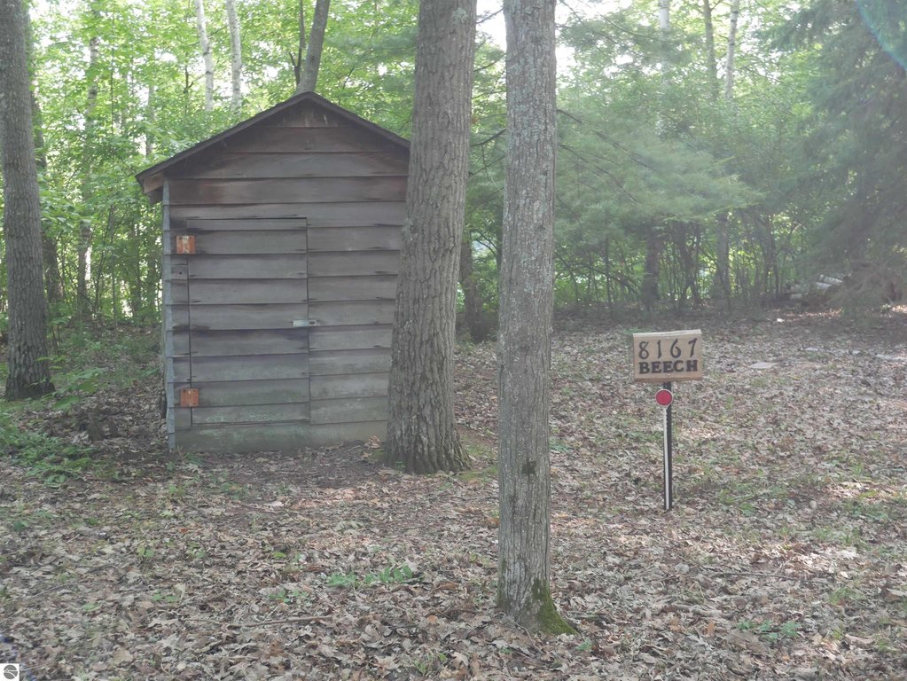 Picture 11