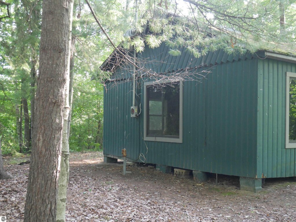 Picture 3