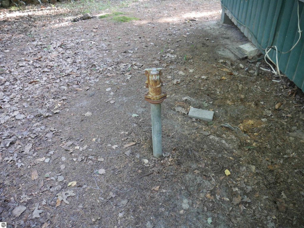 Picture 13
