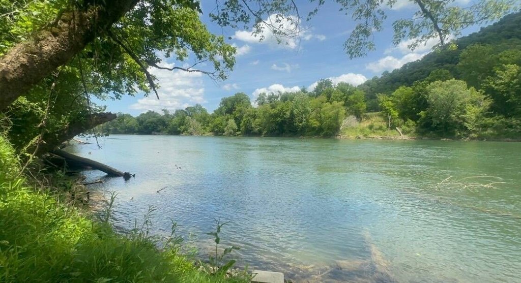Picture 6