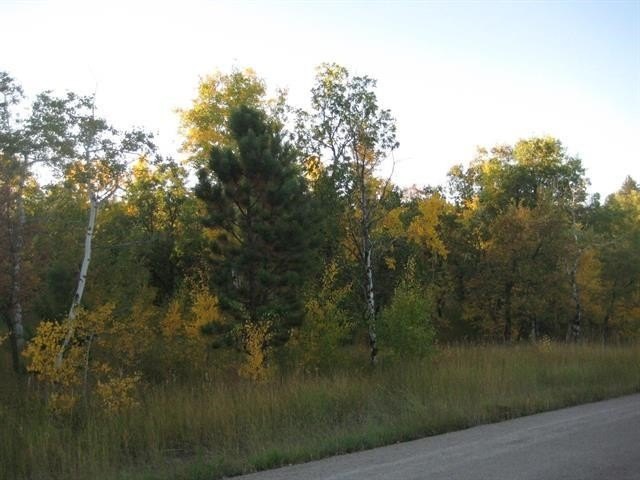 Land with Black Hills Views