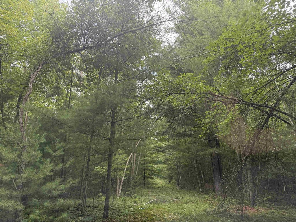 Picture 25