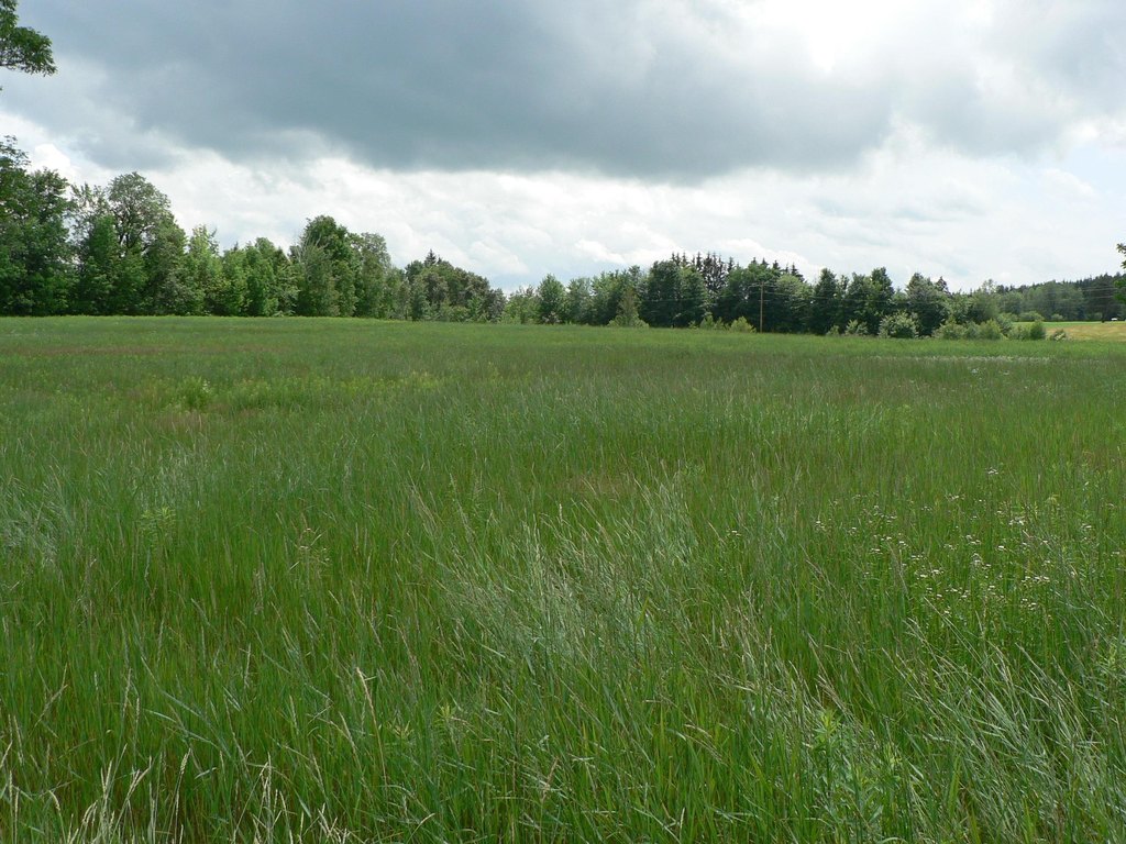 Picture 14