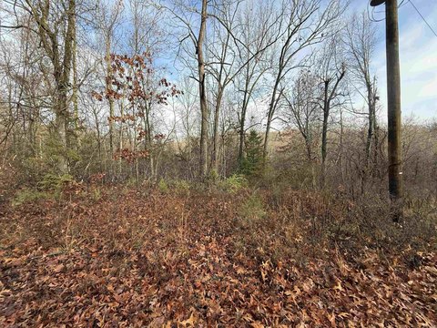 Omaha, AR Wooded Lot