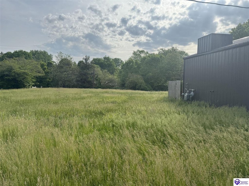 Picture 3
