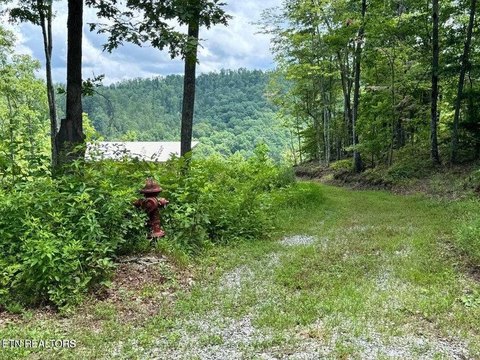 Vacant Land - Crawford, TN