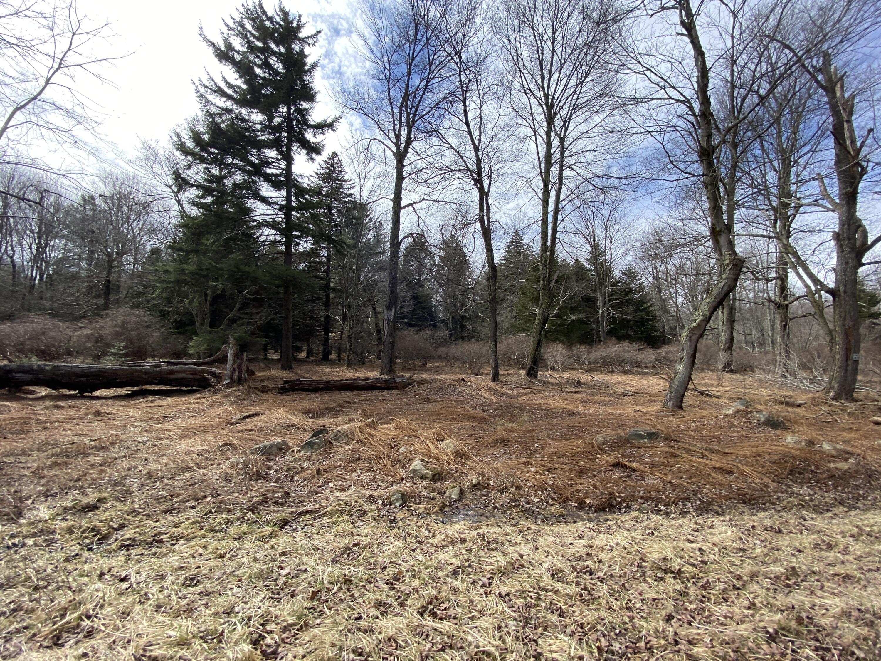 Pocono Lake Land For Sale