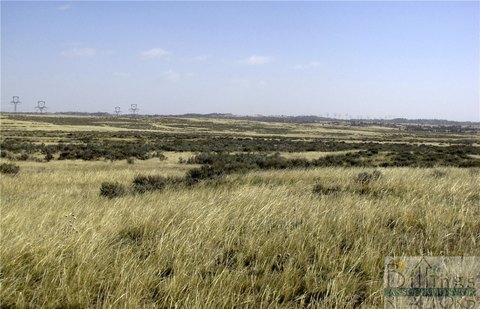 Montana Grassland and Sagebrush Land